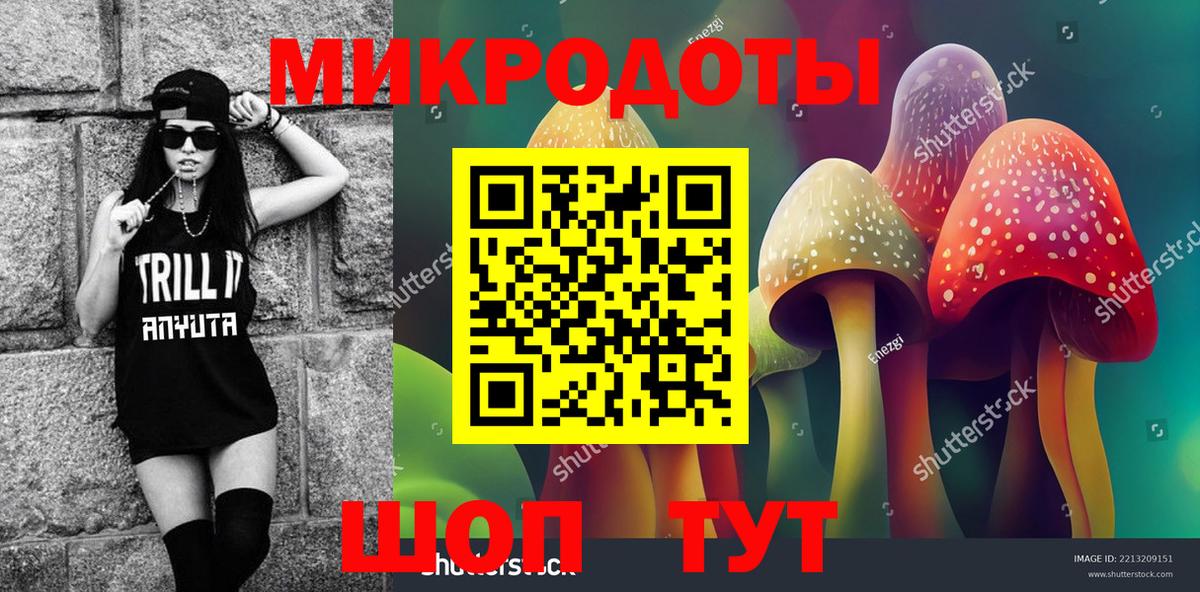 Псилоцибиновые грибы Psilocybe Волжский