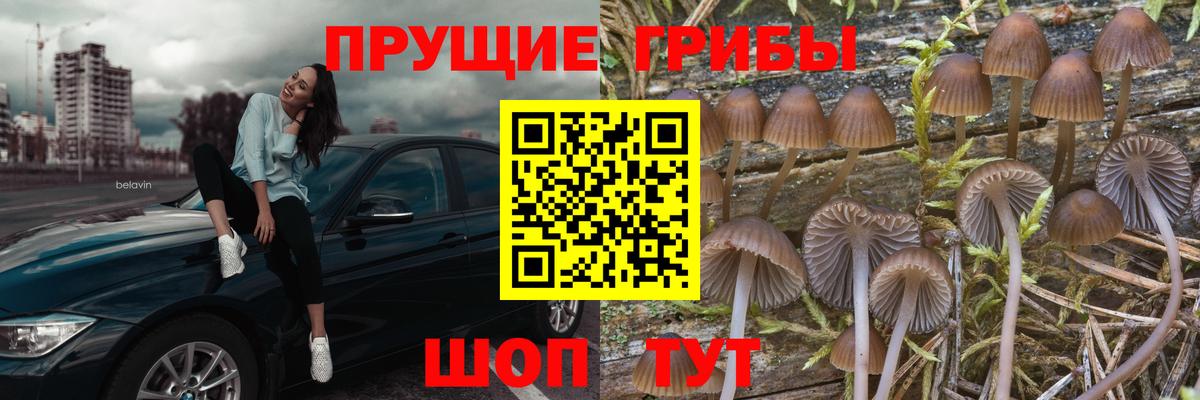 Галлюциногенные грибы GOLDEN TEACHER  Вход с VPN  Волжский 